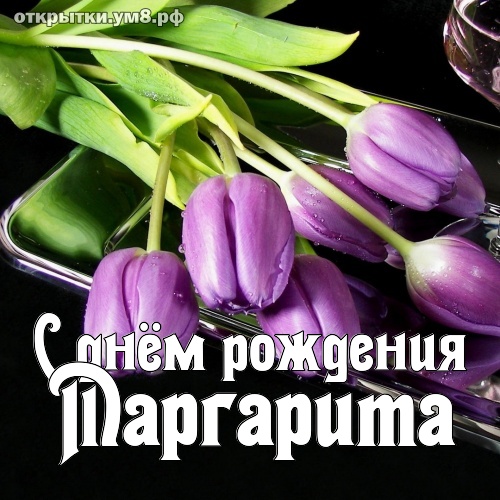 Поздравления с днем рождения Маргарите 💐 – бесплатные пожелания на Pozdravim