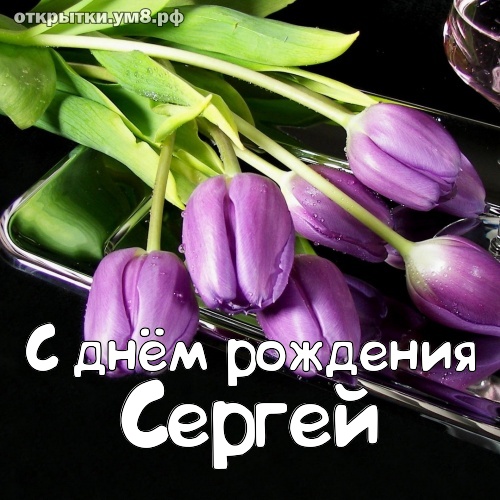 Картинки и открытки с днем рождения Сергей, Сережа- Скачать бесплатно на intimisimo.ru