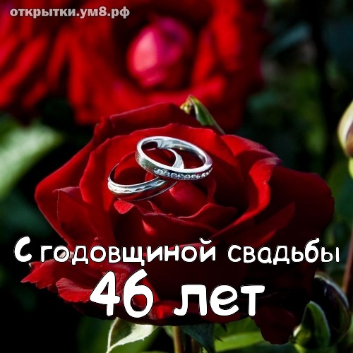 Свадьба 46. 46 Годовщина свадьбы. С днём свадьбы 46 лет. 46 Лет свадьбы. Открытка от чистого сердца с годовщиной свадьбы.